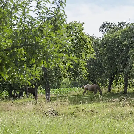 Im Reuter Appartamento