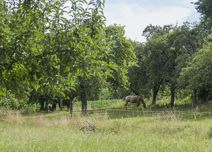 Im Reuter Apartamento